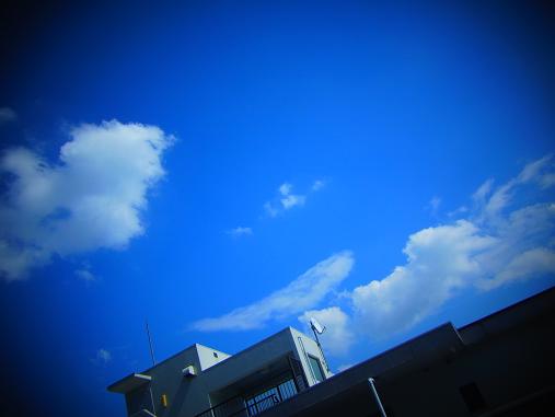 2012.9.21分 リザードン雲+ハニトー 3