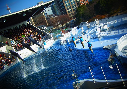 2012.12.17 モコモコ水族館! 7