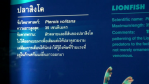 resize1724.png