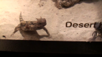 resize1749.png