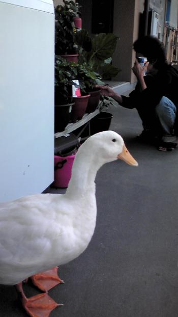 2012-0919-pooh5_convert_20120919132303.jpg