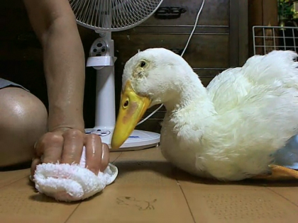 Video_call_snapshot_96_convert_20120626113257.png
