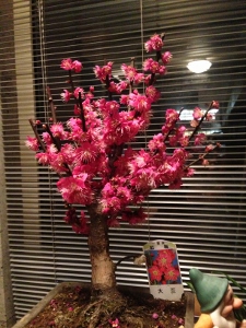 IMG_2612 (225x300)