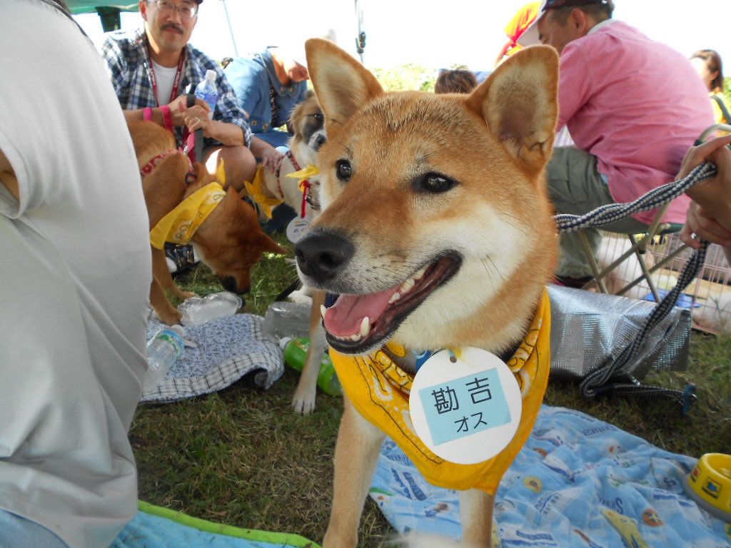 DSCN0854.jpg