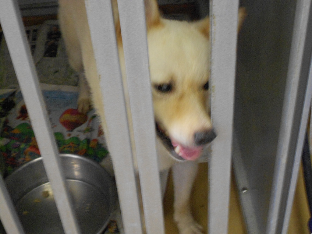 DSCN0942.jpg