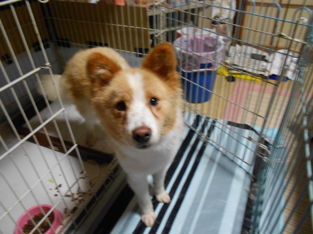 DSCN0953.jpg
