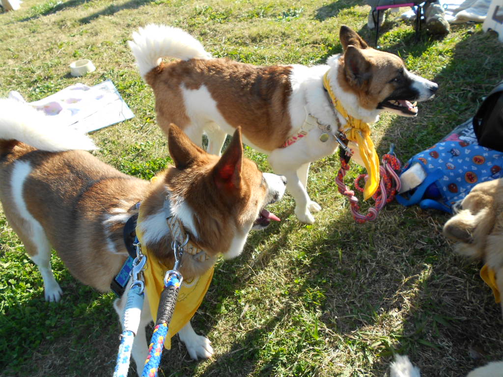 DSCN1153.jpg