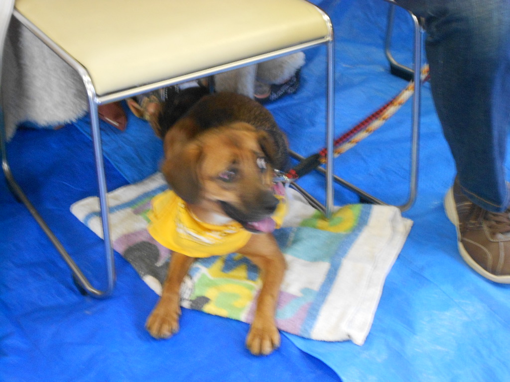 DSCN1232.jpg