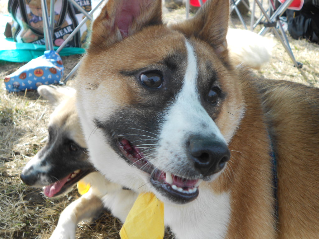 DSCN1259.jpg