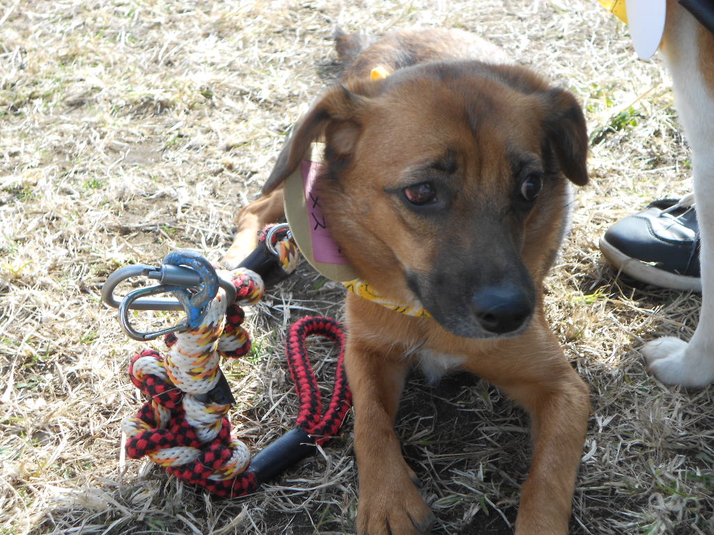 DSCN1270.jpg