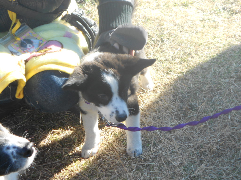 DSCN2787.jpg