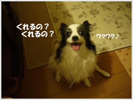 007_convert_20120910121855.jpg