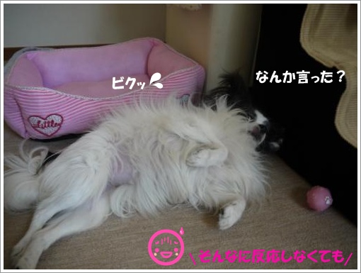 009_convert_20120906120728.jpg