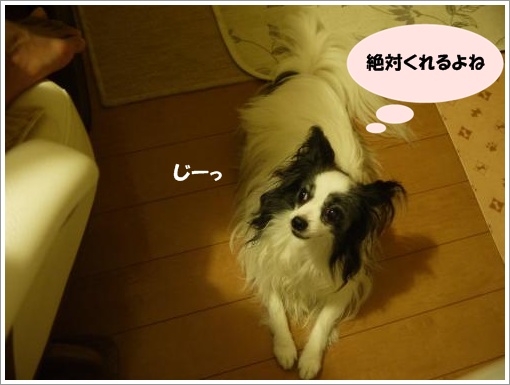 009_convert_20120910122042.jpg