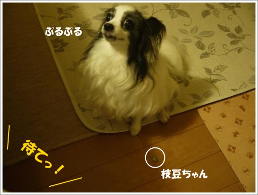 011_convert_20120910122211.jpg