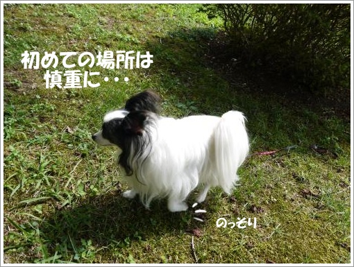 011_convert_20121001094230.jpg