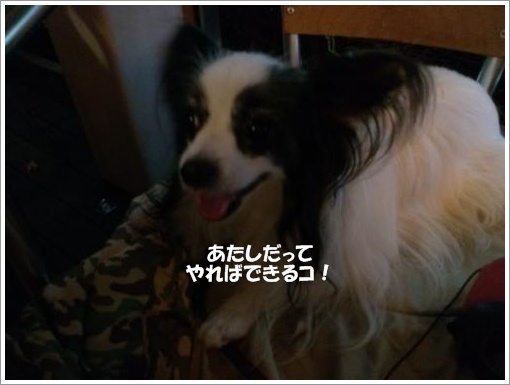 012_convert_20120921095639.jpg