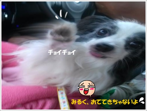 016_convert_20120903094318.jpg