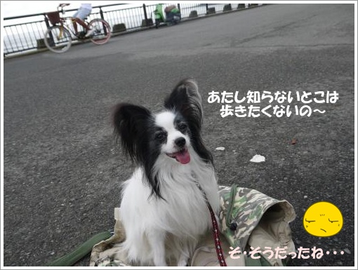 016_convert_20120918095154.jpg