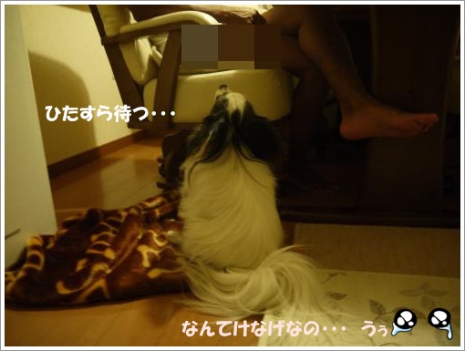 018_convert_20120910122442.jpg