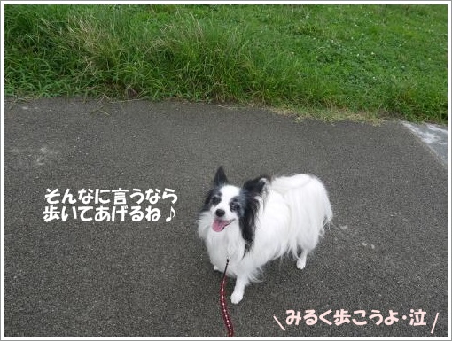 018_convert_20120918095723.jpg