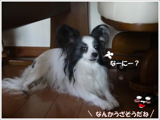 021_convert_20120913130309.jpg