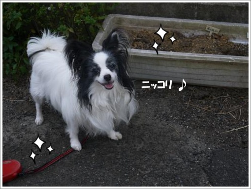024_convert_20120905123259.jpg