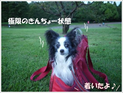 030_convert_20120910092803.jpg