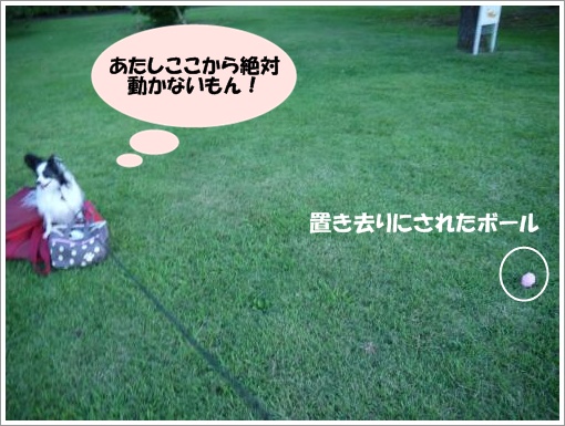 031_convert_20120910093049.jpg