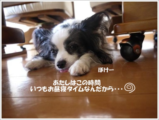 043_convert_20120913121148.jpg