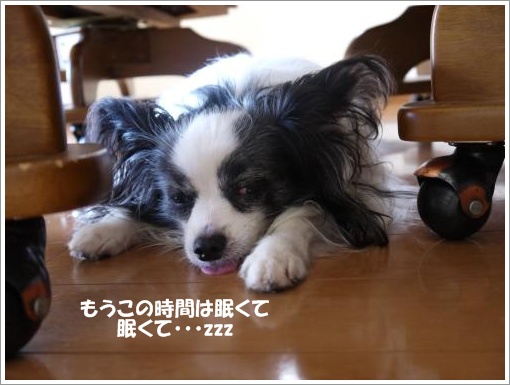 044_convert_20120913121306.jpg
