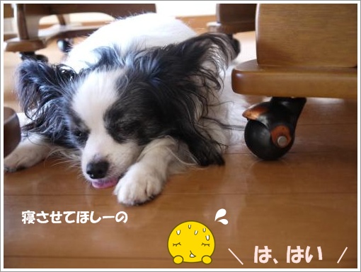 045_convert_20120913121430.jpg