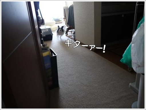 050_convert_20121120123722.jpg