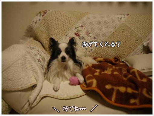 077_convert_20121206121906.jpg