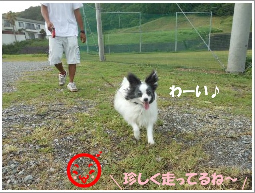 109_convert_20120808105615.jpg