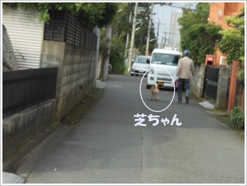 111_convert_20120712120707.jpg