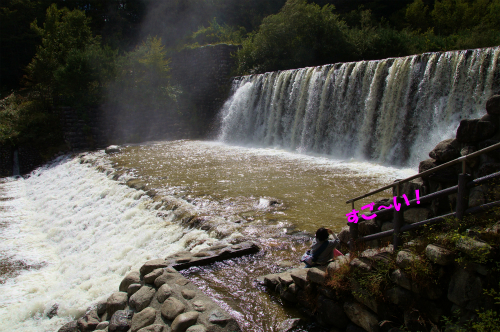 rDSC141014054-1