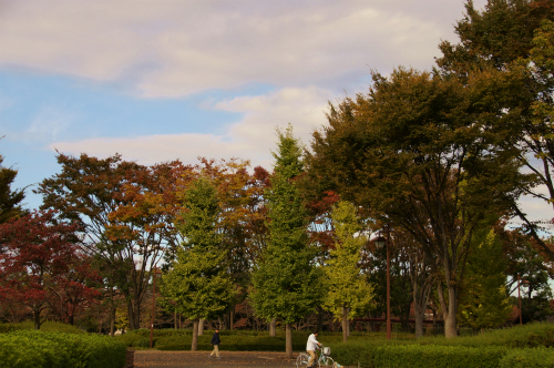 rDSC141103075