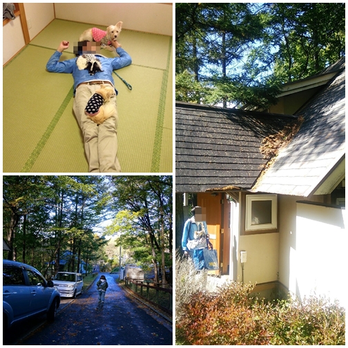 page2_201410282153572b6.jpg