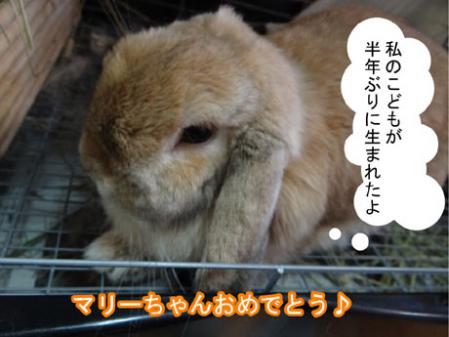 04_20120622173349.jpg