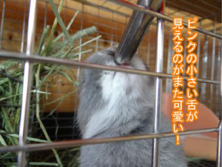 09_20120601180813.jpg