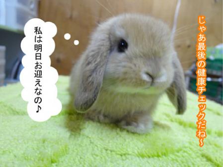 09_20120608174421.jpg
