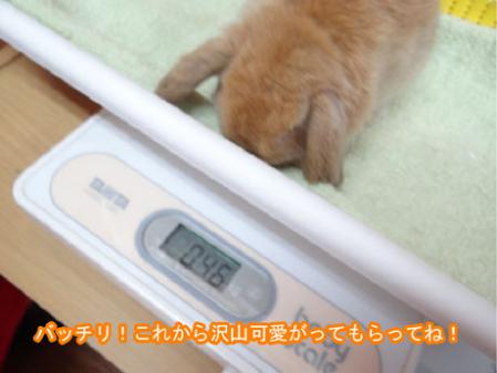 10_20120608174421.jpg