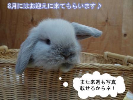 11_20120713174210.jpg