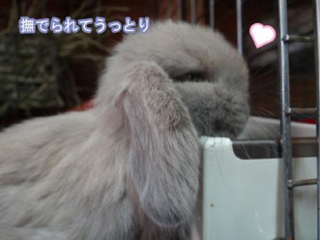 14_20120713174450.jpg