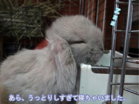 15_20120713174449.jpg