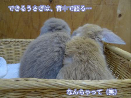 16_20120713174449.jpg