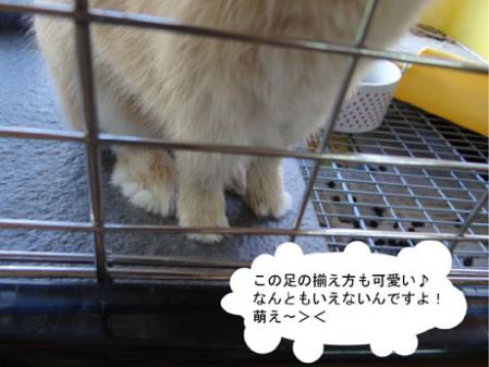 足元