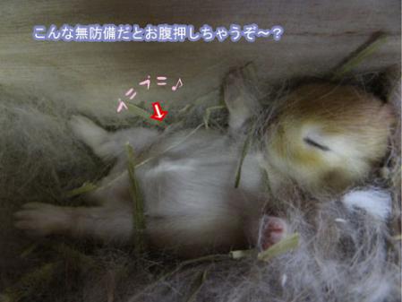 仰向け