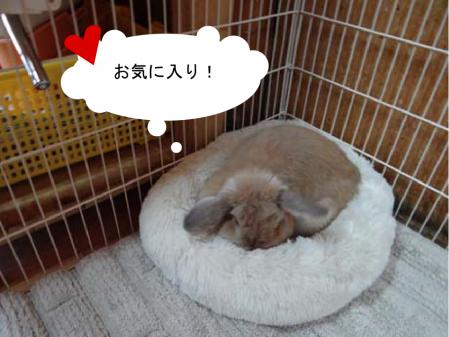 ベッド